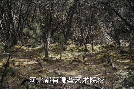 河北舞蹈类大学排名，河北省的舞蹈专业师范类的二本学校有哪些