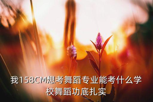 我158CM想考舞蹈专业能考什么学校舞蹈功底扎实