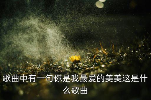 阳光美美哒是什么歌，告诉几首关于阳光的歌