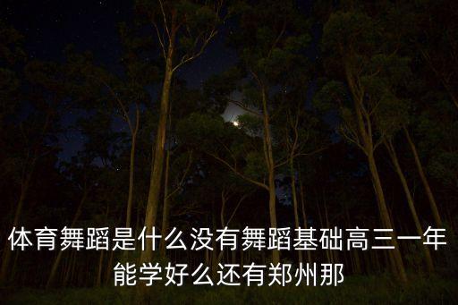 体舞是什么，体育舞蹈 是什么东东啊