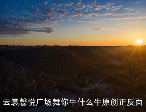 云裳馨悦广场舞你牛什么牛原创正反面