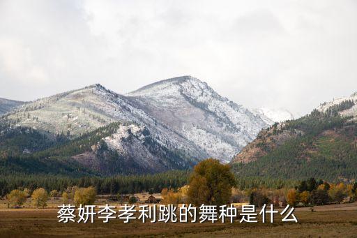 蔡妍李孝利跳的舞种是什么