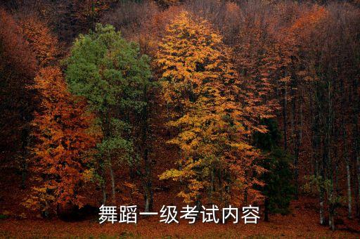 考级舞蹈一级有什么，拉丁舞考级有什么用