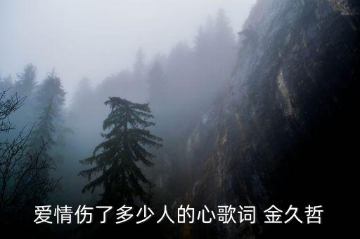 爱情伤了多少人的心歌词 金久哲