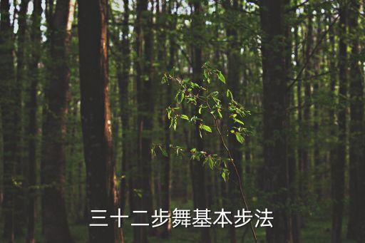 三十二步舞基本步法