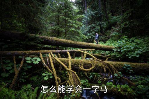 怎么能学会一字马