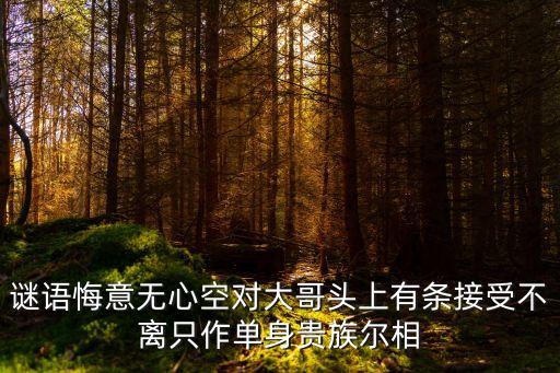 谜语悔意无心空对大哥头上有条接受不离只作单身贵族尔相