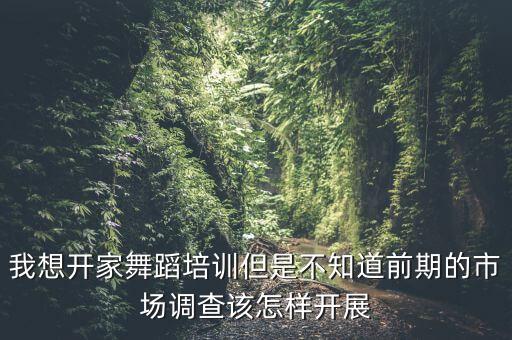 我想开家舞蹈培训但是不知道前期的市场调查该怎样开展