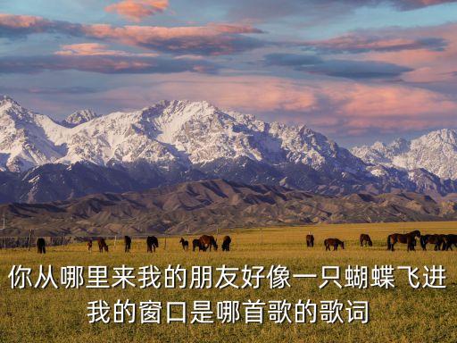你从哪里来我的朋友好像一只蝴蝶飞进我的窗口是哪首歌的歌词