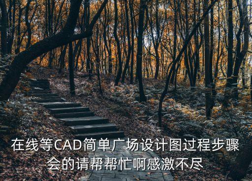 在线等CAD简单广场设计图过程步骤会的请帮帮忙啊感激不尽