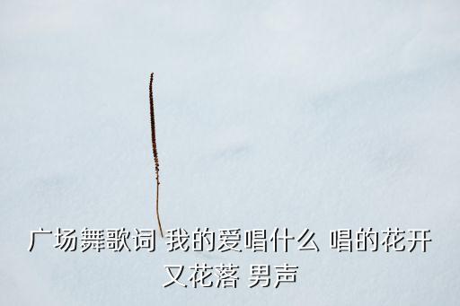 广场舞不分离是什么歌，广场舞歌词 我的爱唱什么 唱的花开又花落 男声