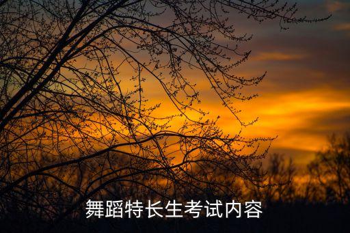 舞蹈特长生考试内容
