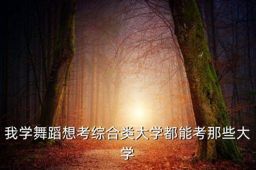 有哪些舞蹈综合类大学，我学舞蹈想考综合类大学都能考那些大学