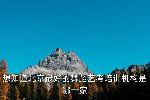 北京舞蹈工作室排名，北京专业舞蹈培训机构有哪些哪家最好