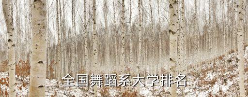 全国舞蹈系大学排名