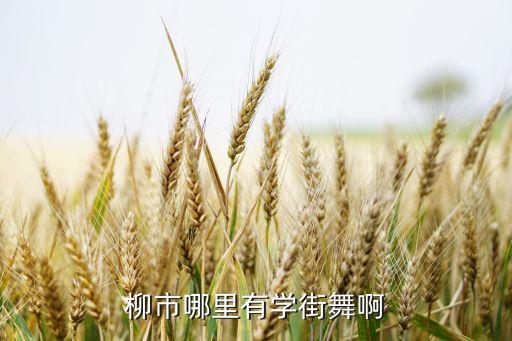 柳市哪里有学街舞啊