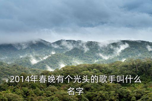2014年春晚有个光头的歌手叫什么名字