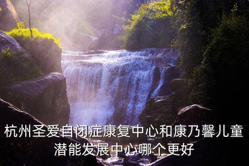 杭州圣爱自闭症康复中心和康乃馨儿童潜能发展中心哪个更好