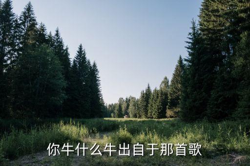 你牛什么牛出自于那首歌