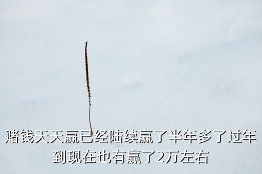 赌钱天天赢已经陆续赢了半年多了过年到现在也有赢了2万左右