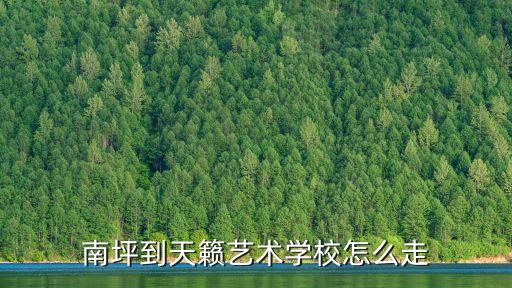 南坪到天籁艺术学校怎么走