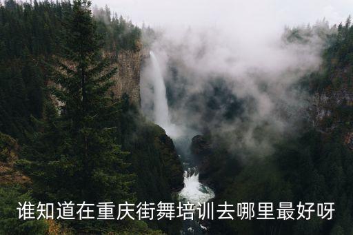 谁知道在重庆街舞培训去哪里最好呀