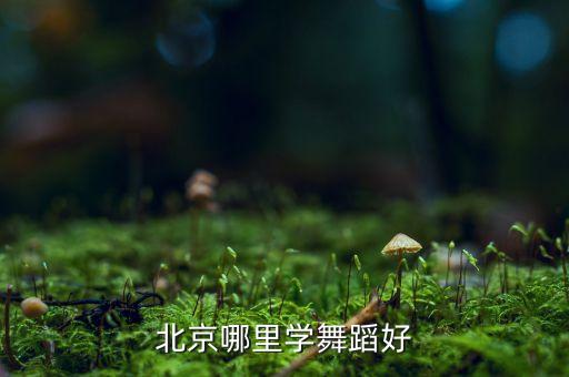 北京哪里学舞蹈好