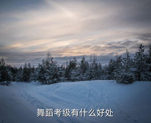 中国舞考级对孩子有什么好处，中国舞蹈家协会考级证书对孩子有什么好处