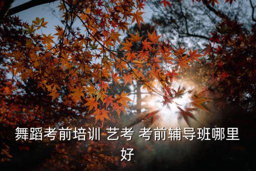 舞蹈考前培训 艺考 考前辅导班哪里好