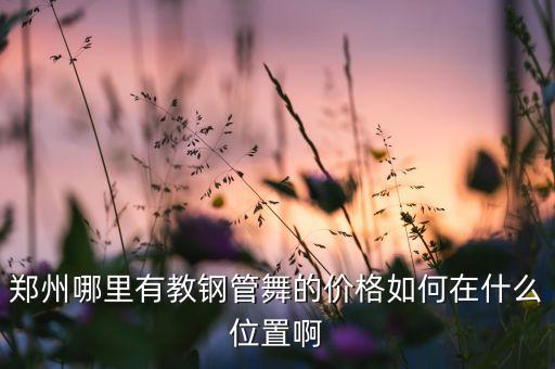 郑州哪里可以学钢管舞，郑州的钢管舞培训学校哪个好