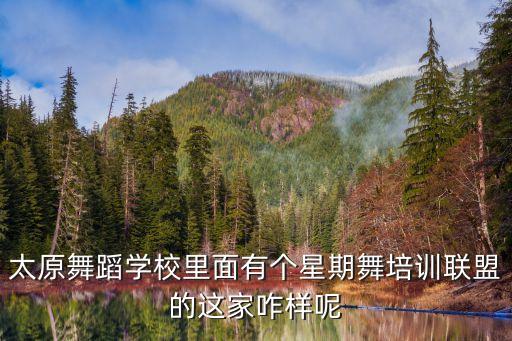 太原舞蹈学校里面有个星期舞培训联盟的这家咋样呢
