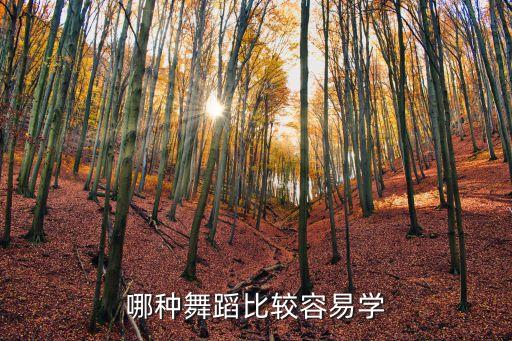 哪种舞蹈比较容易学