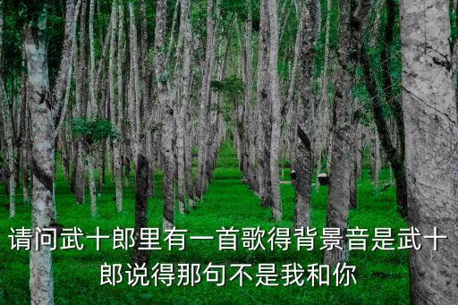 请问武十郎里有一首歌得背景音是武十郎说得那句不是我和你
