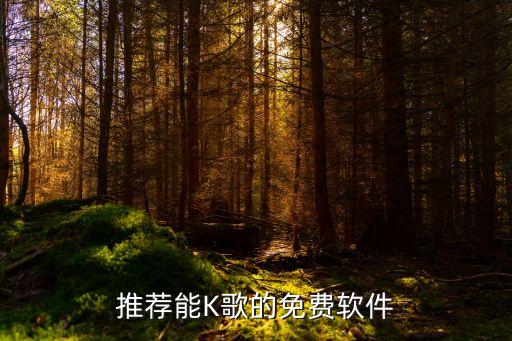 推荐能K歌的免费软件