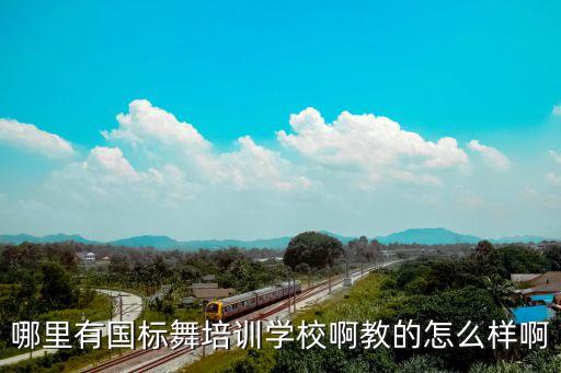 哪里有国标舞培训学校啊教的怎么样啊