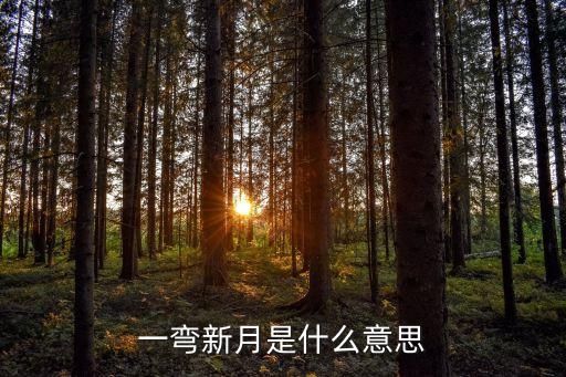 一弯新月是什么意思