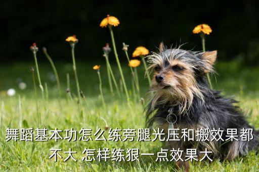 舞蹈基本功怎么练旁腿光压和搬效果都 不大 怎样练狠一点效果大