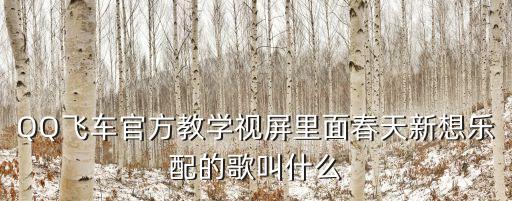 永什么飞的歌曲视频教学视频，QQ飞车官方教学视屏里面春天新想乐配的歌叫什么