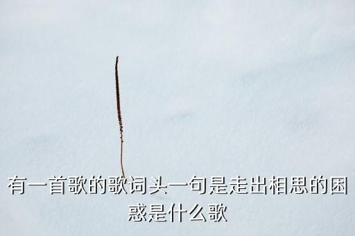 有一首歌的歌词头一句是走出相思的困惑是什么歌