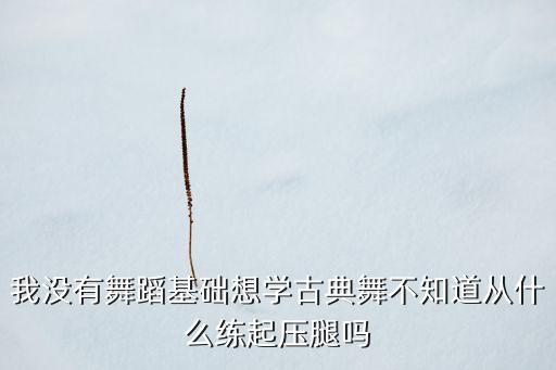 我没有舞蹈基础想学古典舞不知道从什么练起压腿吗