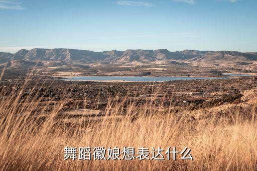 舞蹈徽娘想表达什么