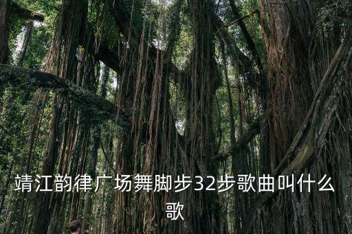 靖江韵律广场舞脚步32步歌曲叫什么歌