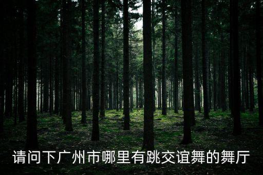 请问下广州市哪里有跳交谊舞的舞厅