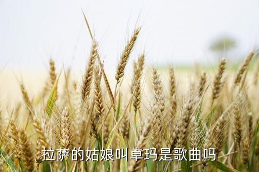 舞蹈卓玛讲的是什么，为什么第七届桃李杯找不到卓玛的舞蹈