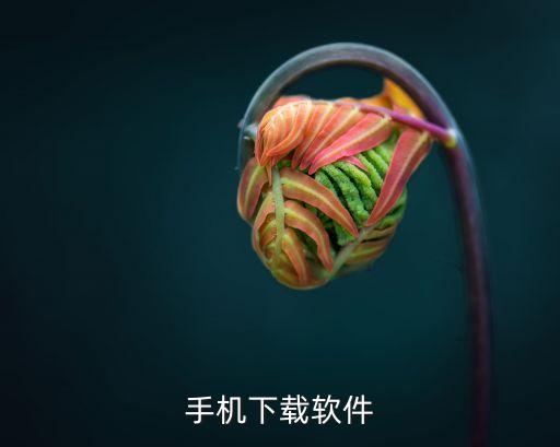 手机下载软件