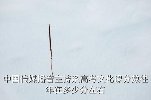 中国传媒播音主持系高考文化课分数往年在多少分左右