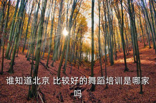 谁知道北京 比较好的舞蹈培训是哪家吗