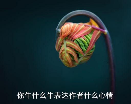你牛什么牛表达作者什么心情