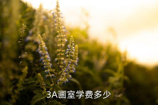 3A画室学费多少