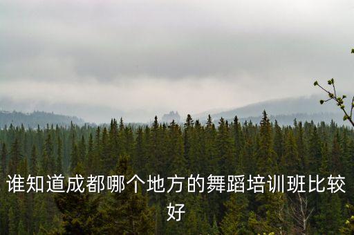 成都有艺舞蹈少儿成人培训怎么样，谁知道成都哪个地方的舞蹈培训班比较好